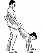 Beauty Inverted Illustrated Sex Position