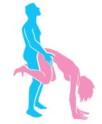 The Wheelbarrow Illustrated Sex Position