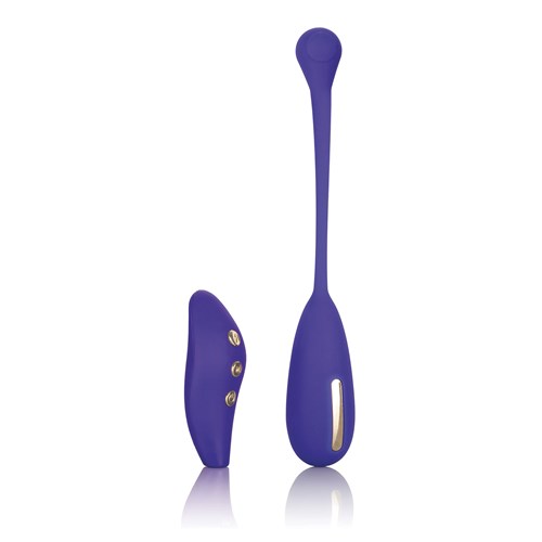 Impulse Remote Kegel E-Stimulator both pieces