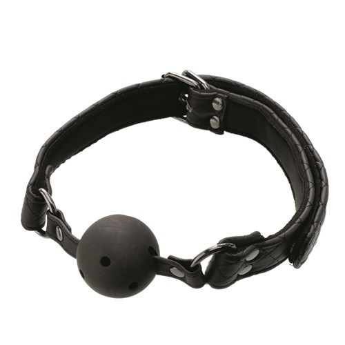 Eve's Fetish Dreams Advanced Bondage Set Ball Gag