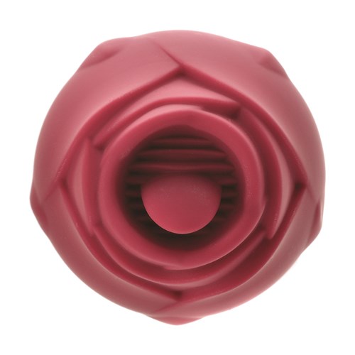 Rosegasm Lingo Dual Ended Clitoral Vibrator - Close Up on Clitoral Stimulator