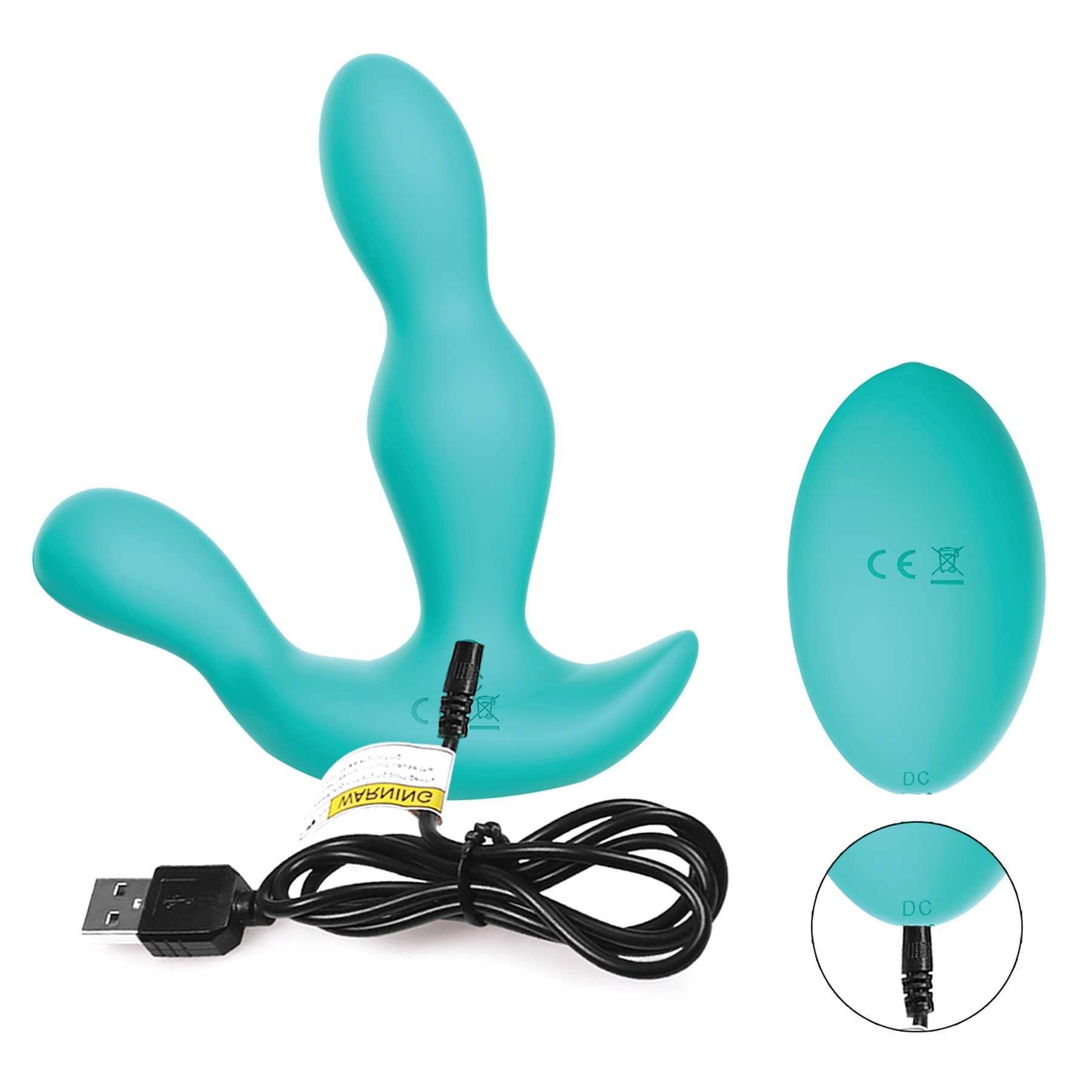 Richard Remote Control Prostate Massager with USB charging cable and remote control