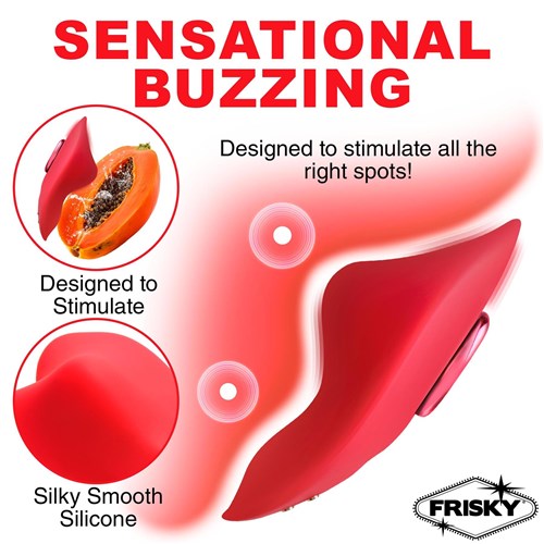 Frisky Love Connection Panty Vibrator With Remote - Features