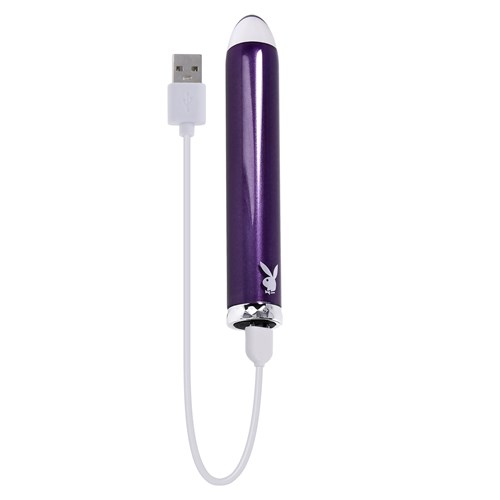 Playboy Pleasure Amethyst Glass Bullet Vibrator charger