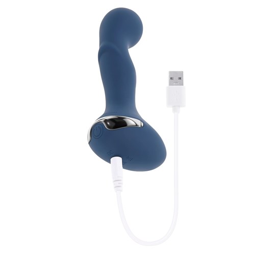 Blue Oasis Rechargeable Vibe charger